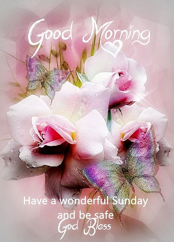 Good Morning Sunday Blessings