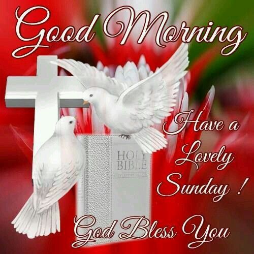 Good Morning Have A Wonderful Sunday Sister And Alltake Care