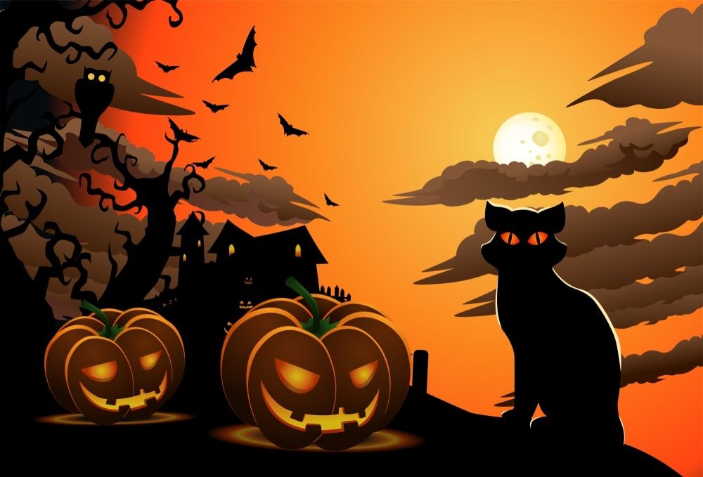 Halloween Wallpaper Images And Photos Free Download