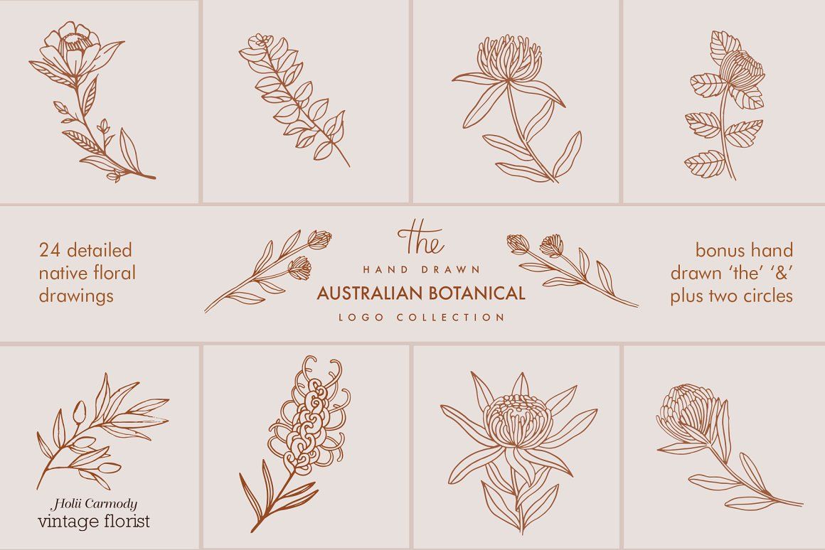 Hand drawn floral logo collection – Illustrations