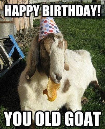 Happy Birthday Old Man Memes Images Quotes Funny Pictures Photos Pics 2023