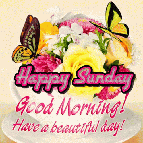 Happy Sunday Good Morning GIF – HappySunday GoodMorning HaveABeautifulDay – Discover & Share GIFs