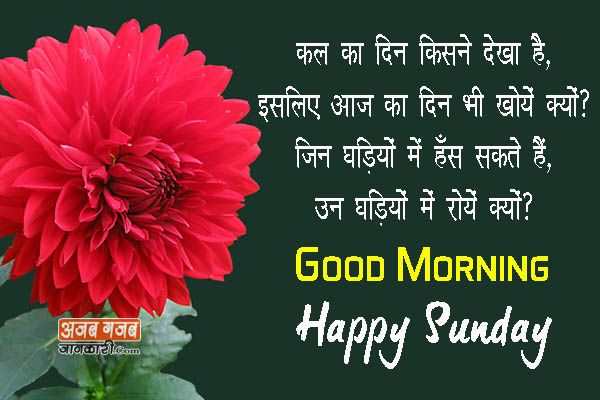 Happy Sunday wishes images in hindi | रविवार की शुभकामना सन्देश मय चित्र के