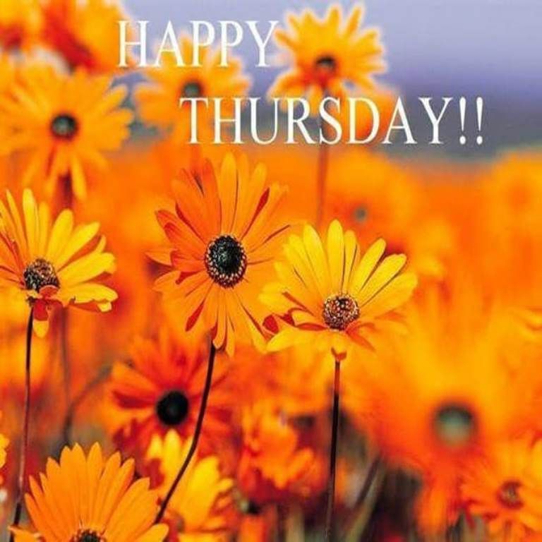 Happy Thursday Wishes Happy Thursday Wallpapers