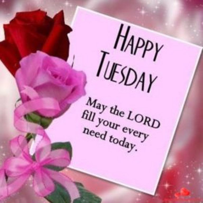 Happy Tuesday Good Morning Photo - Happy Tuesday Messages