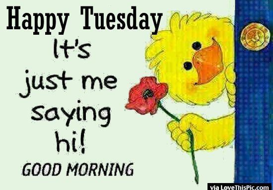 Happy Tuesday Its Just Me Saying Good Morning