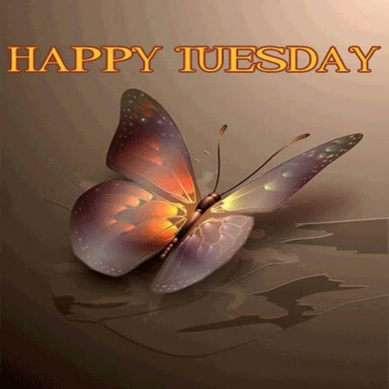 Happy Tuesday Pics And Quotes – Happy Tuesday