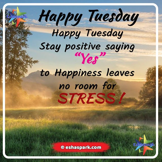 Happy Tuesday Wishes And Images Quotes For You Eshaspark