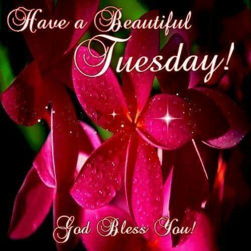 Have A Beautiful Tuesday God Bless You