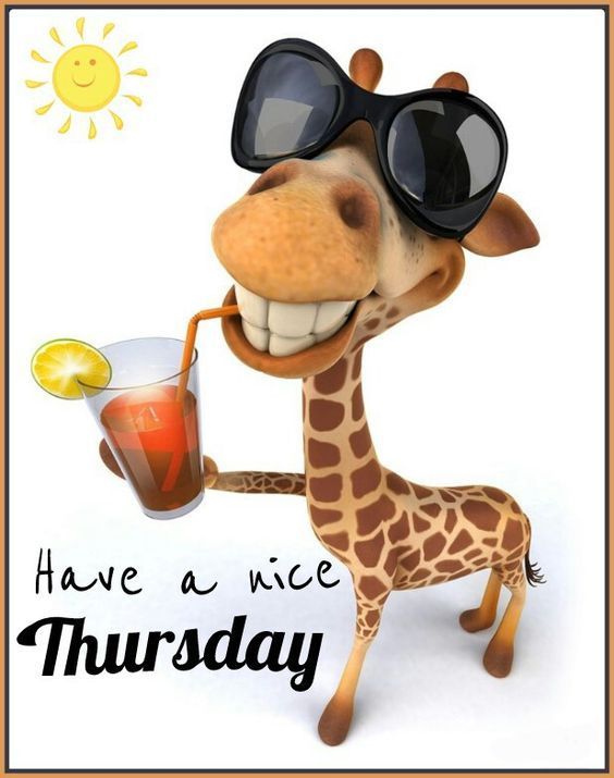 Have A Nice Thursday