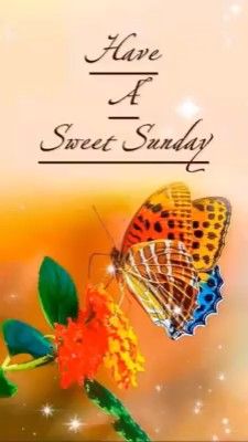 Have a sweet Sunday