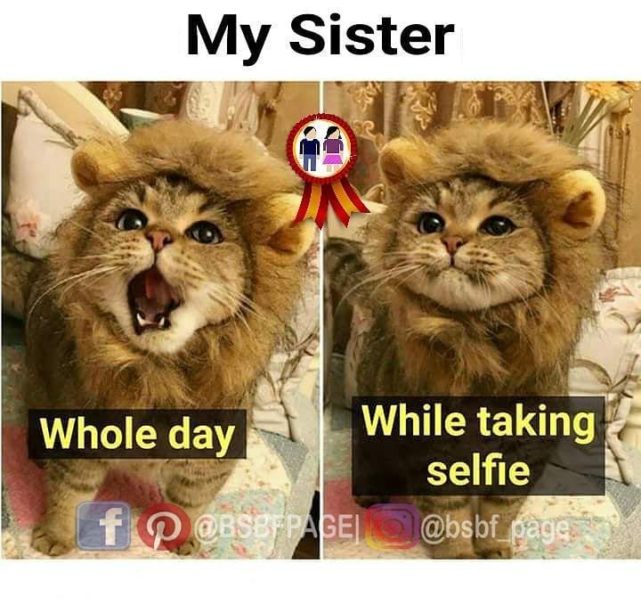 Hello Brothers and sisters… Agree…??? Tag-mention-share with your Brother and Sister ??????#siblings