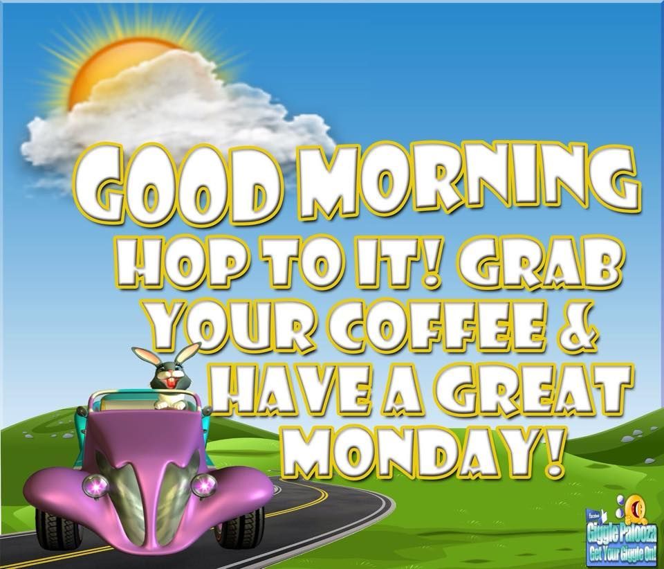 Hop to it! Grab your coffee & have a great monday! Good morning