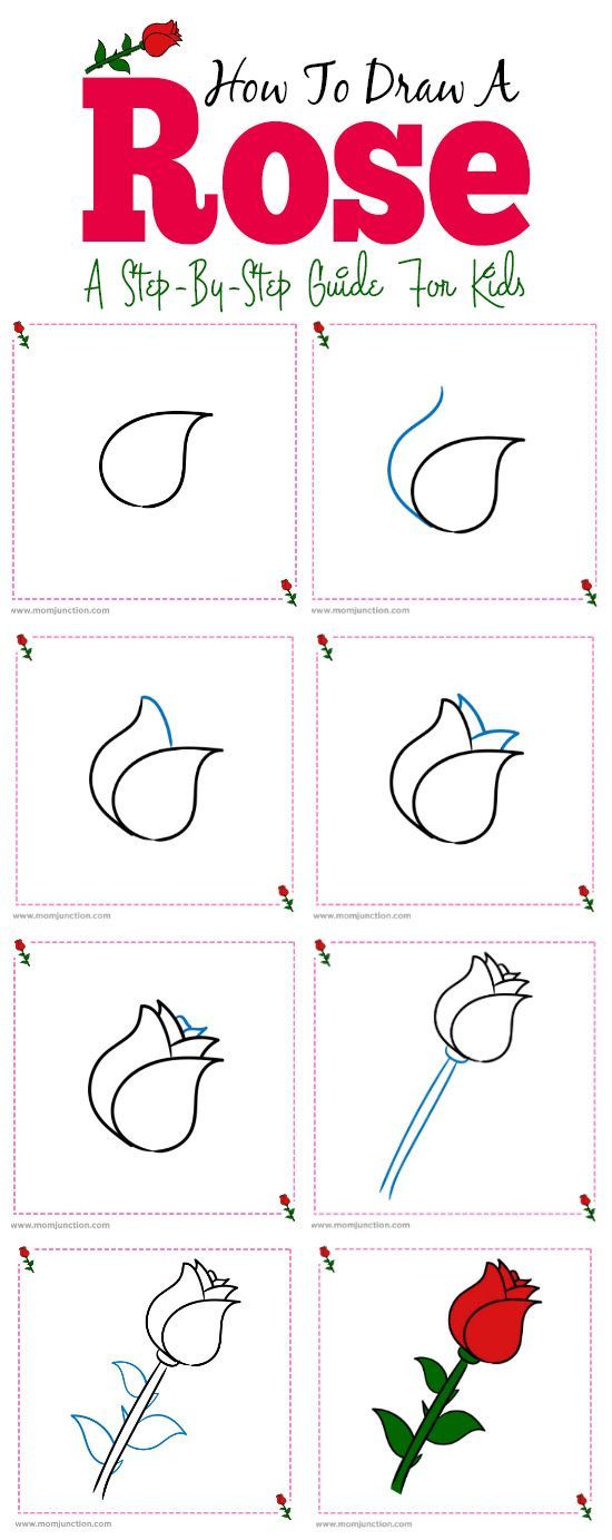 How To Draw A Rose: Easy Step-by-Step Guide