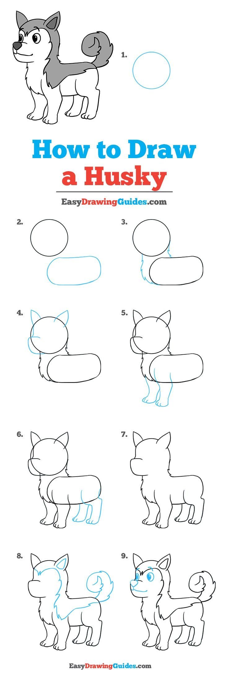 How To Draw A Husky - Really Easy Drawing Tutorial