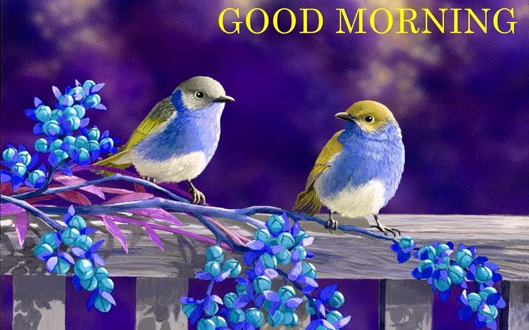 Best Good Morning Wishes For Whatsapp, Facebook &Amp; Instagram