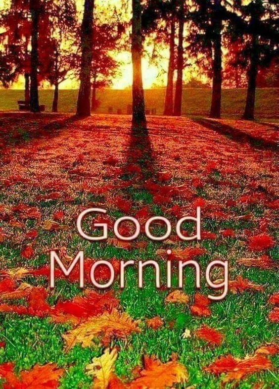 Latest Good Morning Images Download For Whatsapp – Best Good Morning Images – Beautiful Good Morning