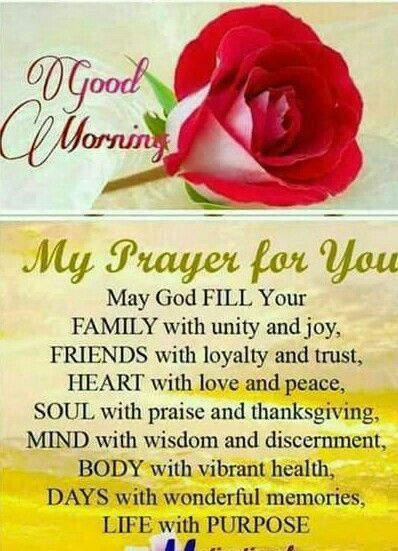 Morning Prayer For Everyone