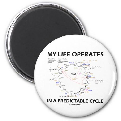 My Life Operates In A Predictable Cycle (Krebs) Magnet | Images HD