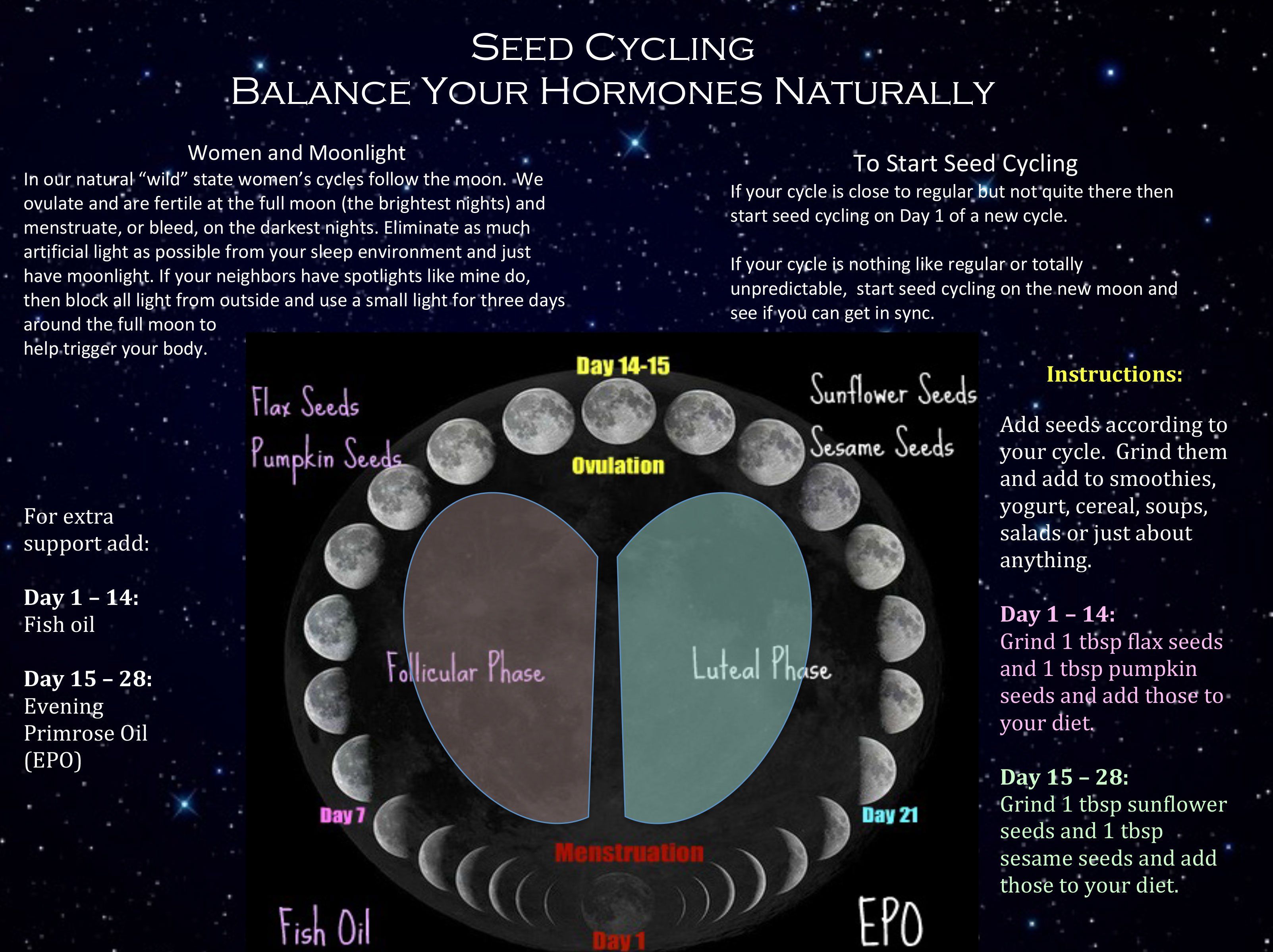 Seed Cycling for Hormone Balance | To Health WIth That!
