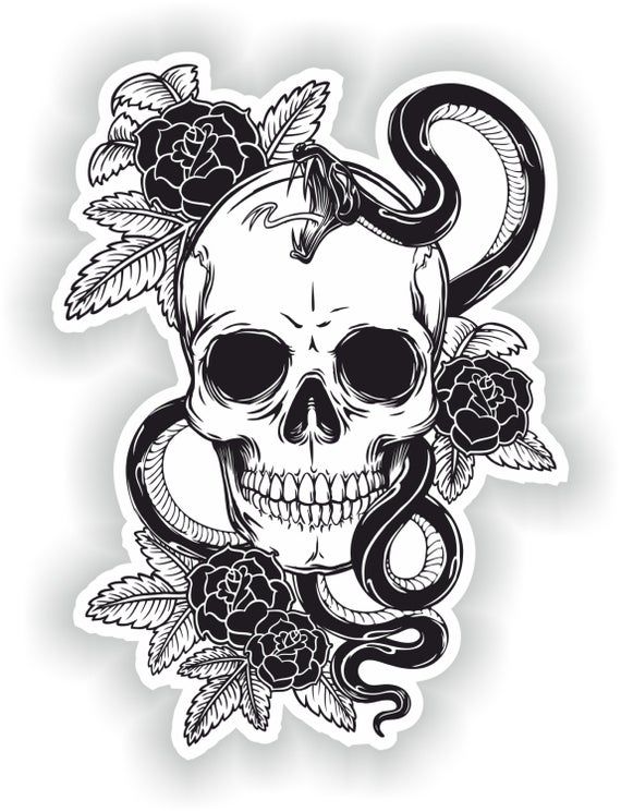 Skull With Snake Sticker For Laptop Book Fridge Guitar Motorcycle