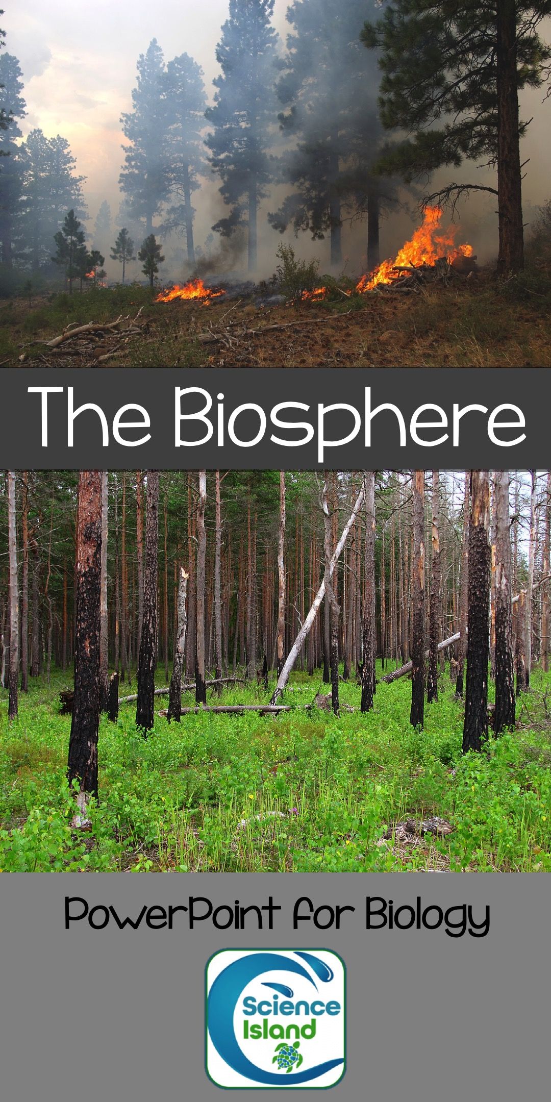 The Biosphere PowerPoint and Notes (Distance Learning)