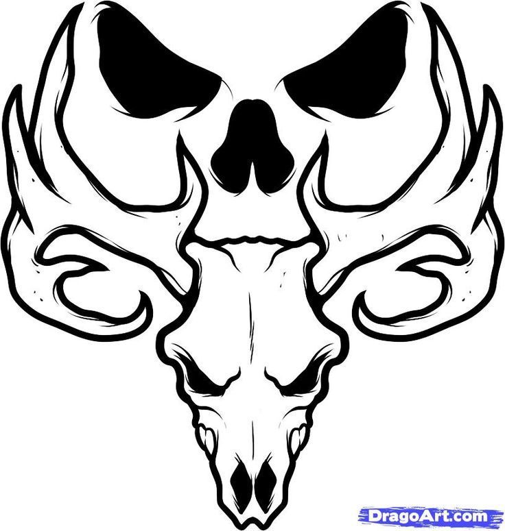 Tribal Skull Tattoo Easy 2023