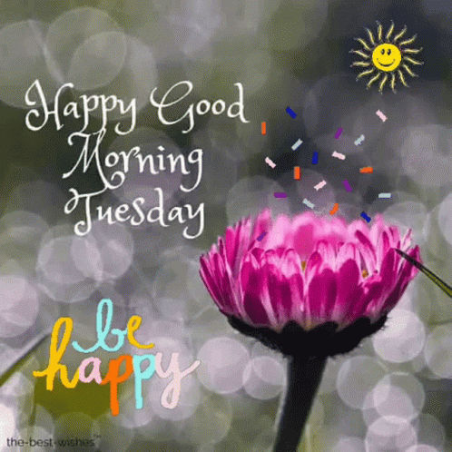 Tuesday Happy Tuesday GIF – Tuesday HappyTuesday GoodMorning – Discover & Share GIFs