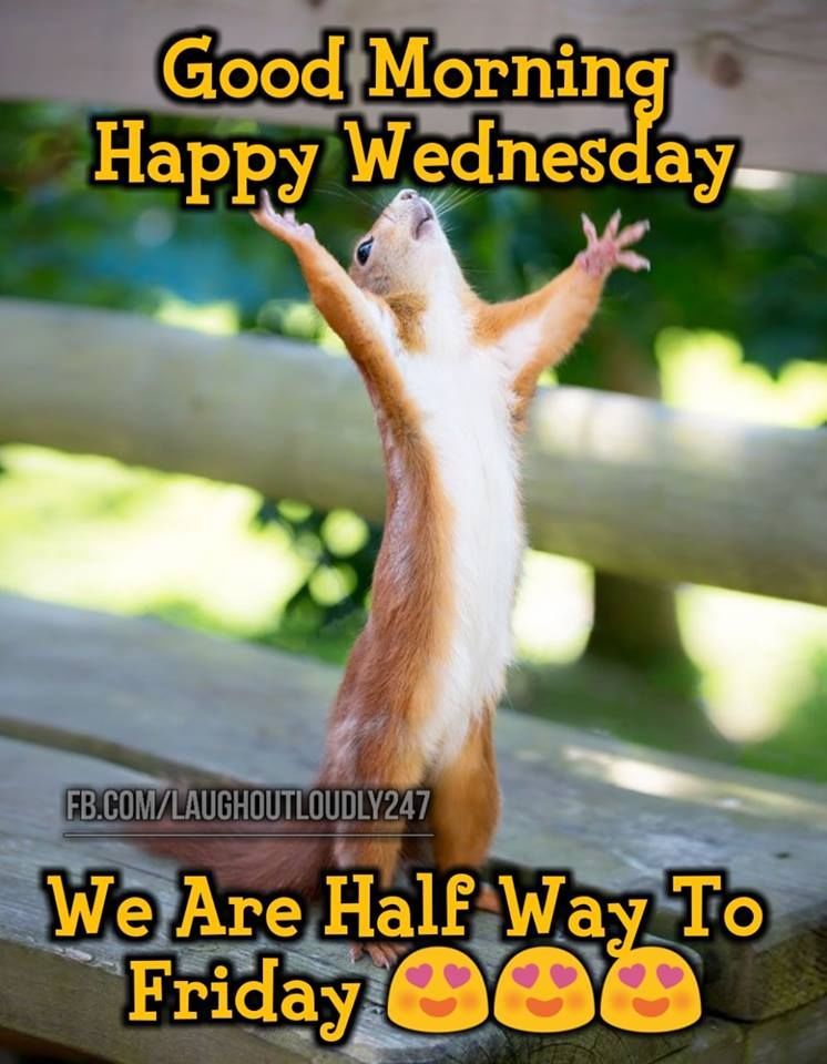 We are halfway to Friday, good morning happy wednesday