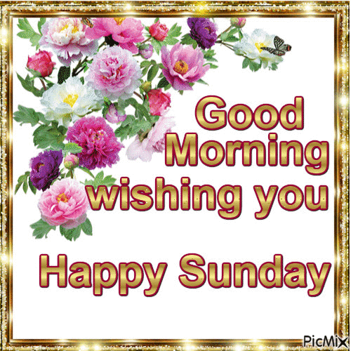 Wishing You A Happy Sunday, Good Morning