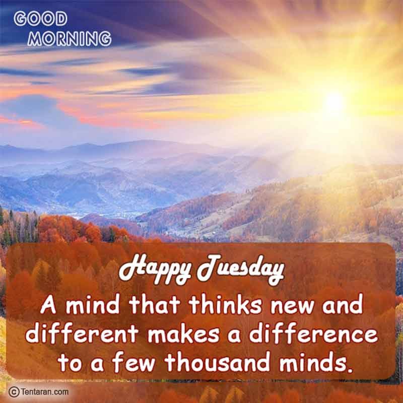 good morning happy tuesday quotes images | tuesday motivation wish pic