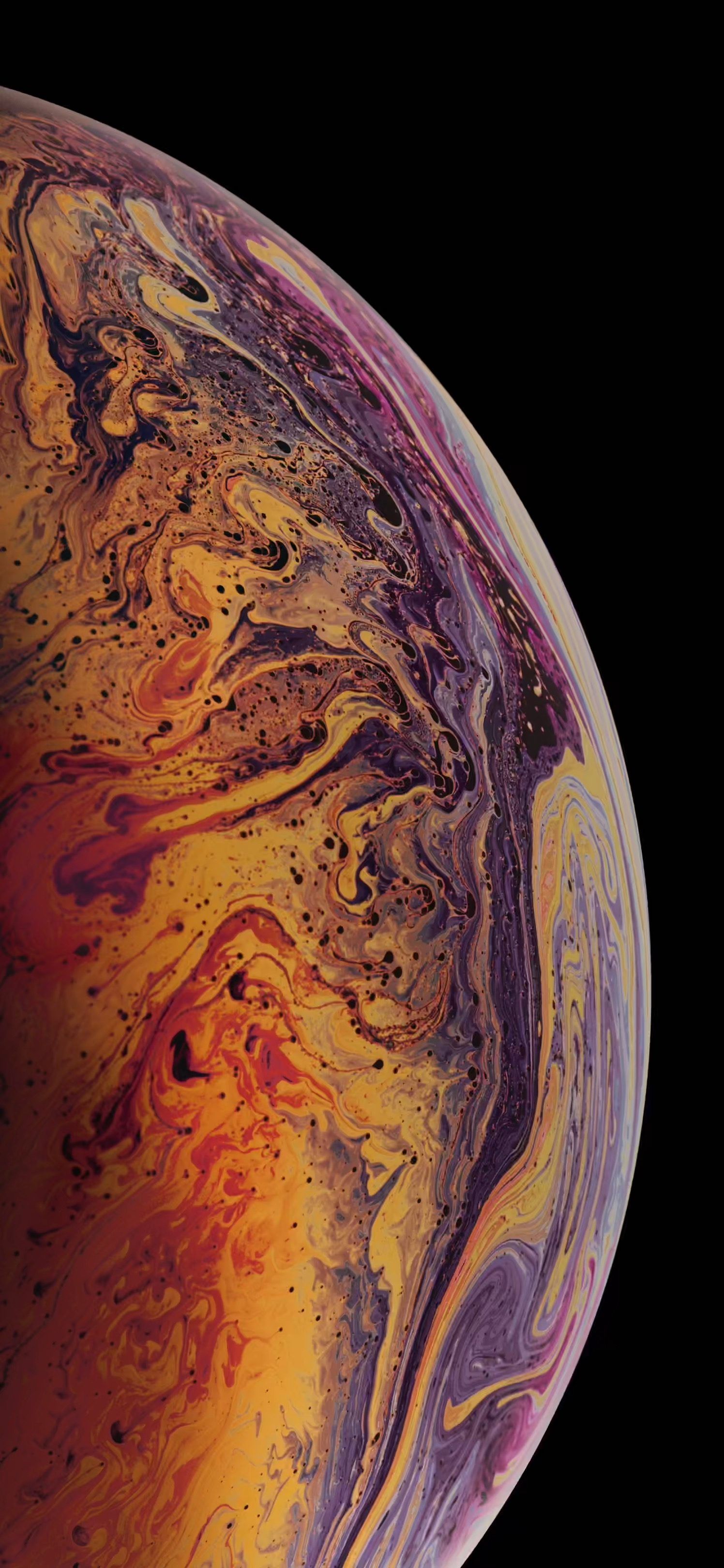 iphone xs purple and gold