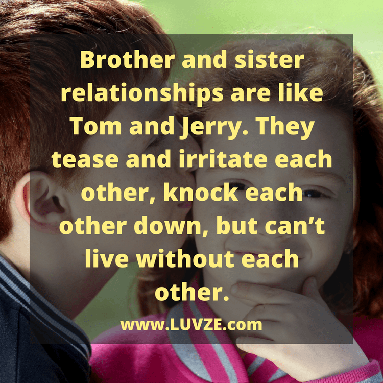 135 Cute Brother Sister Quotes, Sayings And Messages