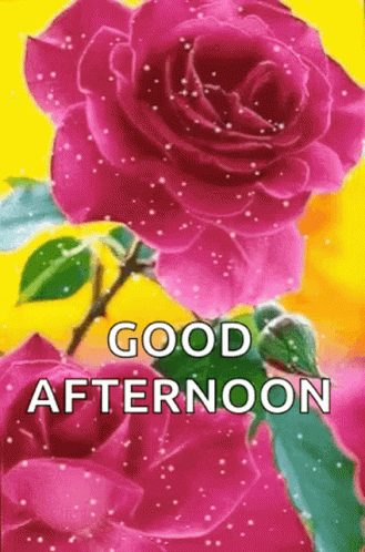 Good Afternoon Gif - Good Afternoon Goodafternoon - Discover &Amp; Share Gifs