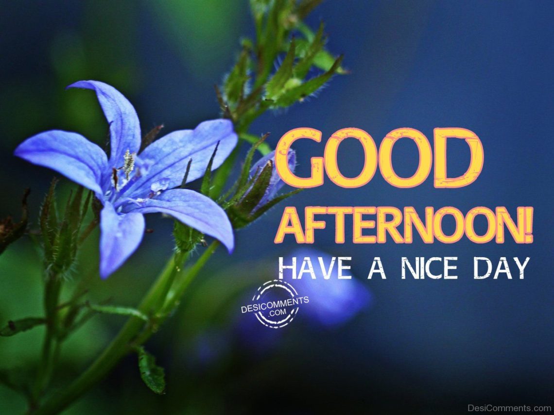Good Afternoon Comment Gif 2023