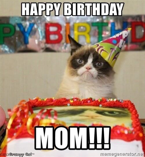 25 Best Happy Birthday Mom Meme Images 21