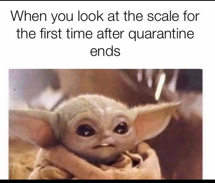 Baby Yoda – scale, quarantine