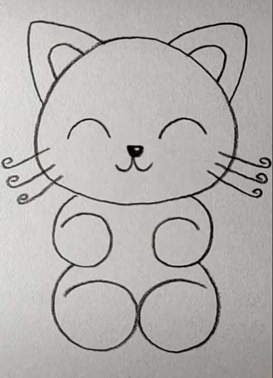 Cat Drawing Easy 2022