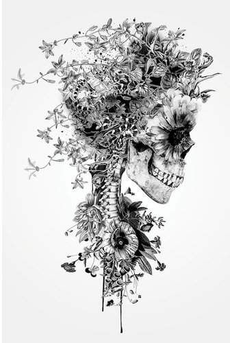 'Floral Skull Series: Skull B&W' Graphic Art Print on Canvas