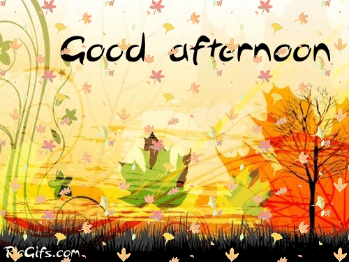 Good Afternoon Gif 2023 HD Images Free Download