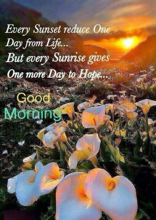 Good Morning Every Sunrise Gives Hope