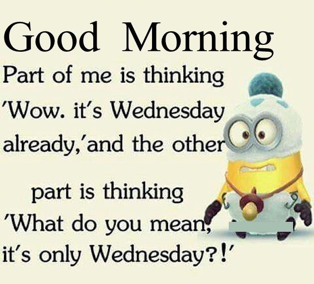 Good Morning Funny Minion Wednesday Quote