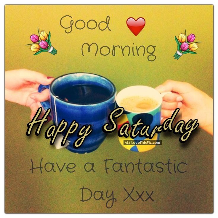 Good Morning Happy Saturday Have A Fantastic Day