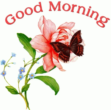Good Morning Roses GIF – GoodMorning Roses PinkRose – Discover & Share GIFs