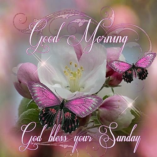 Good Morning Sister And Yours Have A Peaceful Sunday God