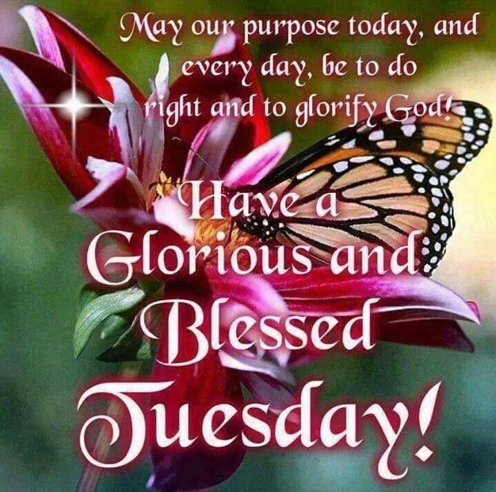 Good Morning Happy Tuesday Wishing You A Beautiful Day! 2021