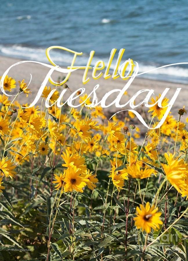 Hello Tuesday Beach Flowers