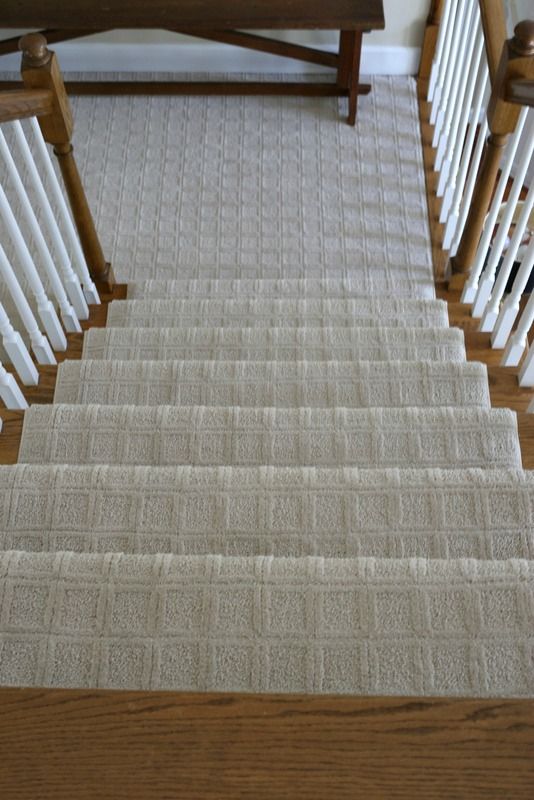 The New Carpet