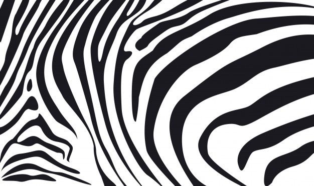 Zebra Skin Textured Background Illustration