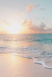 1603527353 Reminiscing Summer With 26 Sunny iPhone Xs Wallpapers Preppy